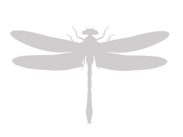 Silhouette 1 2