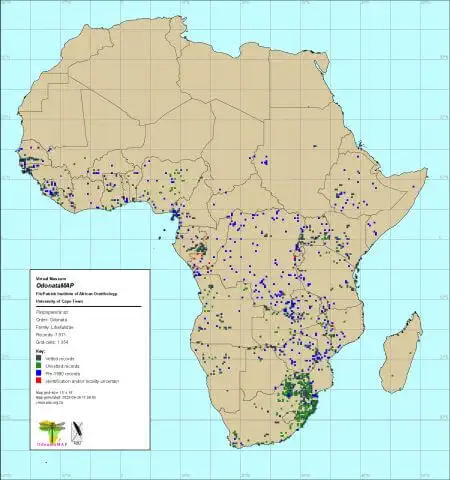 Genus Palpopeura Distribution Africa Genus Palpopeura Distribution Genus Africa