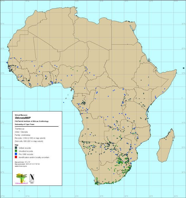 Genus Tramea Genuss Distrubution Africa July 2021 Genus Tramea Genuss Distrubution Africa July 2021