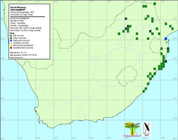Acisoma variegatum, Slender Pintail ,Distribution Map, May 2020 Acisoma variegatum Slender Pintail Distribution Map May 2020