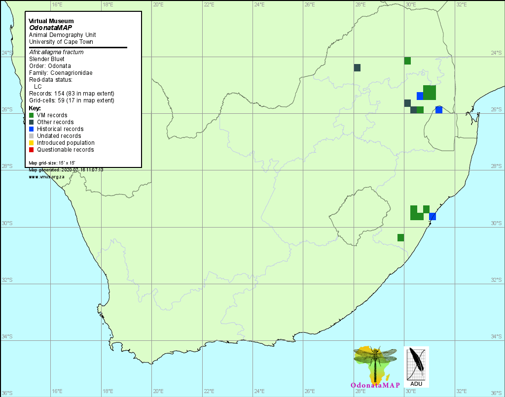 Africallagma fractum Slender Bluet Distribution Map July 2020 Map Africallagma fractum Slender Bluet Distribution Map July 2020 Map