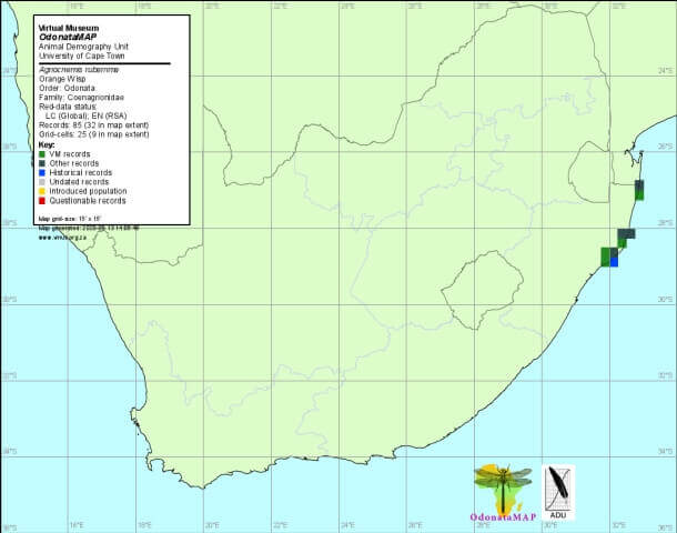 Agriocnemis ruberrima Orange Wisp Distribution Map June 2020 Map