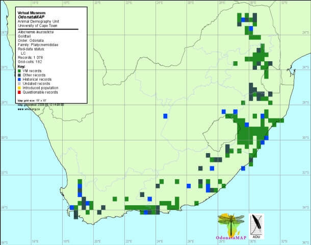 Allocnemis leucosticta Goldtail Distribution Map May 2020 Distribution Map May 2020