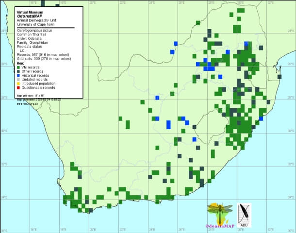 Ceratogomphus pictus Common Thorntail Distribution Map May 2020 Ceratogomphus pictus Common Thorntail Distribution Map May 2020
