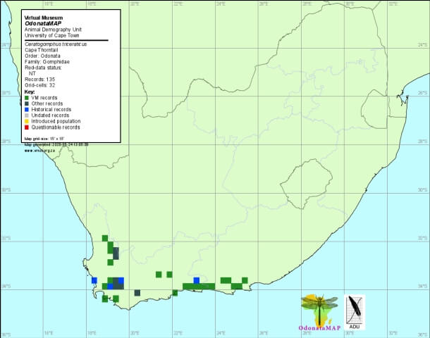 Ceratogomphus triceraticus Cape Thorntail Distribution Map May 2020 Distribution Map May 2020