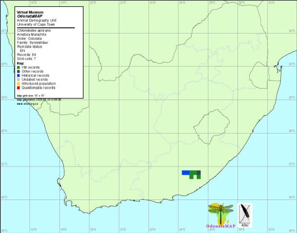 Chlorolestes apricans Amatola Malachite Distribution Map May 2020 Distribution Map May 2020