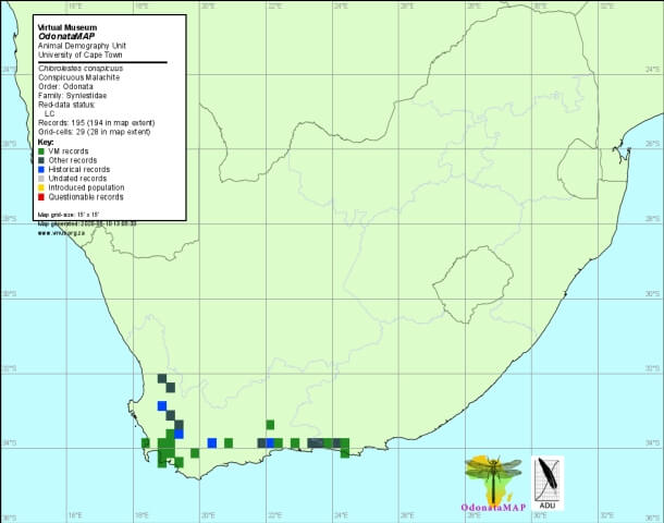 Chlorolestes conspicuus Conspicious Malachite Distribution Map May 2020 Distribution Map May 2020