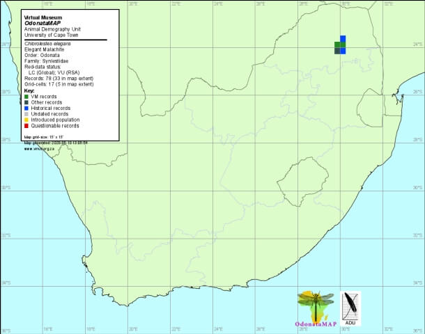 Chlorolestes elegans Elegant Malachite Distribution Map May 2020 Distribution Map May 2020