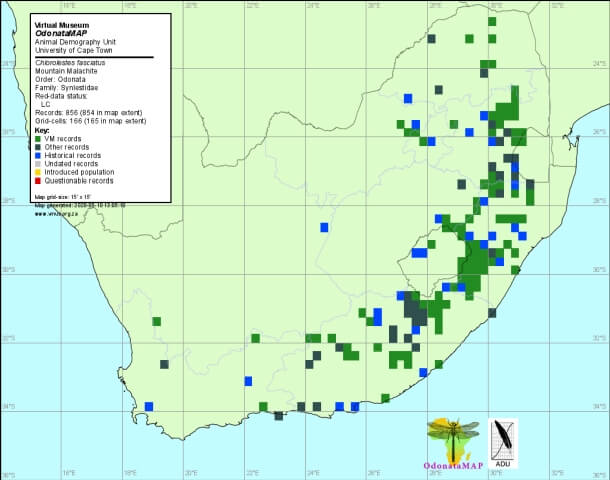 Chlorolestes fasciatus Mountain Malachite Distribution Map May 2020 Chlorolestes fasciatus Mountain Malachite Distribution Map May 2020