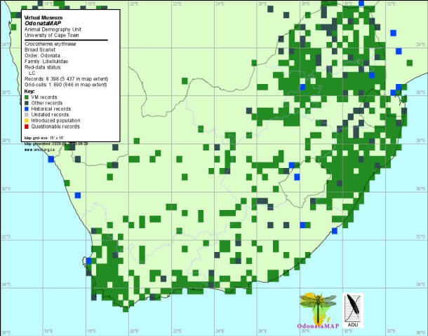 Crocothemis erythraea Broad Scarlet Distribution Map June 2020 Scarlet Distribution Map June 2020