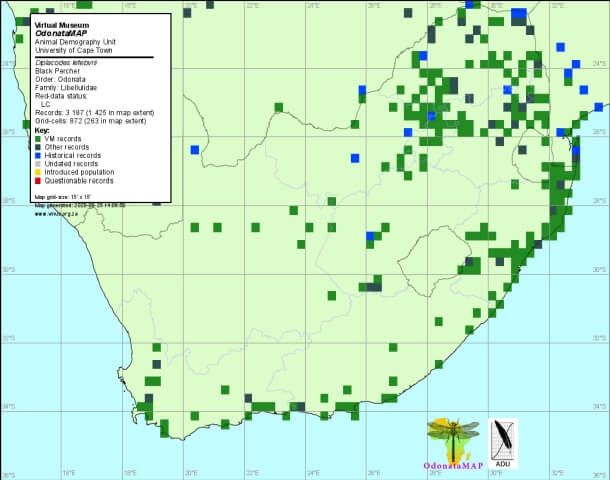 Diplacodes lefebvrii Black Percher Distribution Map June 2020 Map Distribution Map June 2020 Map