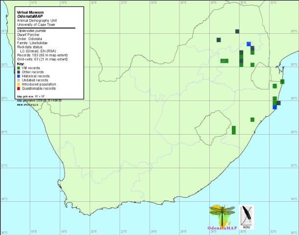 Diplacodes pumila Dwarf Percher Distribution Map June 2020 Map Distribution Map June 2020 Map