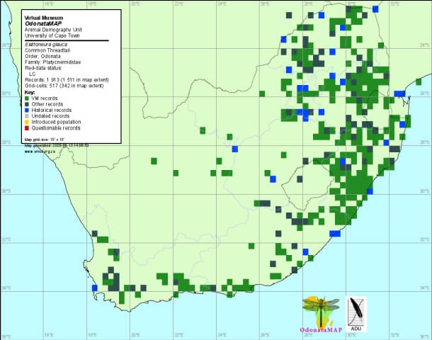 Elattoneura glauca Common Threadtail Distribution Map June 2020 Map Distribution Map June 2020 Map