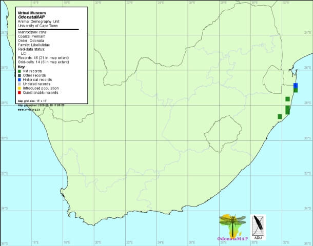 Macrodiplax cora Coastal Pennant Distribution Map June 2020 Macrodiplax cora Coastal Pennant Distribution Map June 2020