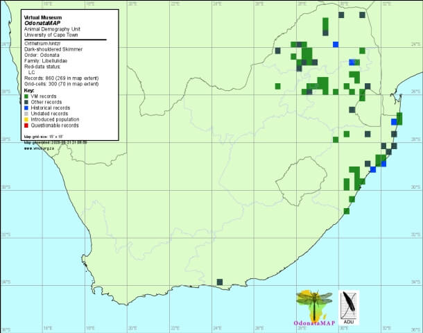 Orthetrum hintzi Dark shouldered Skimmer Distribution Map June 2020 Map Distribution Map June 2020 Map