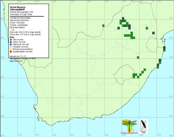 Orthetrum icteromelas Spectacled Skimmer Distribution Map June 2020 Map Orthetrum icteromelas Spectacled Skimmer Distribution Map June 2020 Map