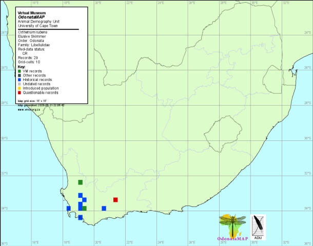 Orthetrum rubens Elusive Skimmer Distribution Map June 2020 Map Distribution Map June 2020 Map