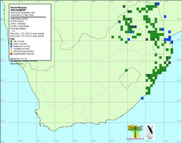 Palpopleura Portia, Portia Widow. Distribution Map, May 2020 Palpopleura Portia Portia Widow Distribution Map May 2020