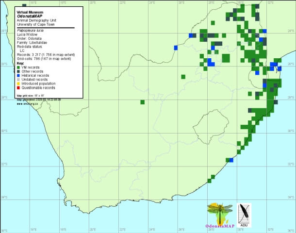 Palpopleura lucia Lucia Widow Distribution Map May 2020 Distribution Map May 2020