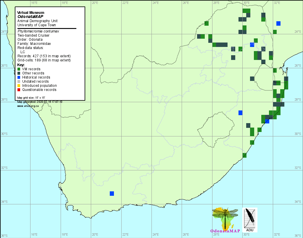 Phyllomacromia contumax Two banded Cruiser Distribution Map July 2020 Map Distribution Map July 2020 Map