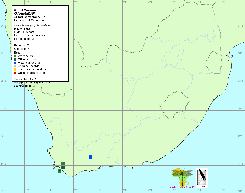 Proischnura polychromatica Mauve Bluet Distribution Map July 2020 Map Distribution Map July 2020 Map
