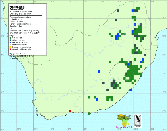 Pseudagrion spernatum Upland Sprite Distribution Map July 2020
