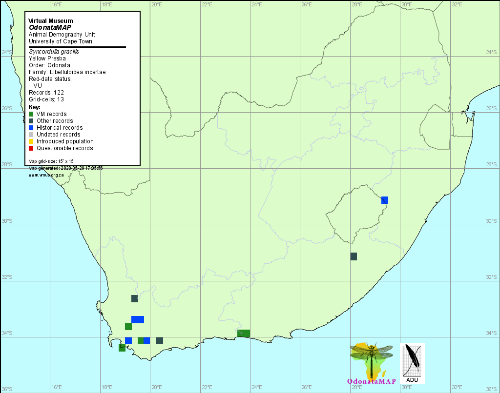 Syncordulia gracilis, Yellow Presba, Distribution Map May 2020 Syncordulia gracilis Yellow Presba Distribution Map May 2020