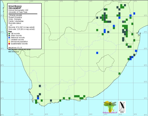 Trithemis pluvialis Russet Dropwing Distribution Map Trithemis pluvialis Russet Dropwing Distribution map May 2020