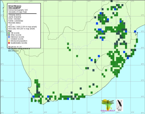 Trithemis stictica Jaunty Dropwing Distribution Map May 2020 Trithemis stictica Jaunty Dropwing Distribution Map May 2020