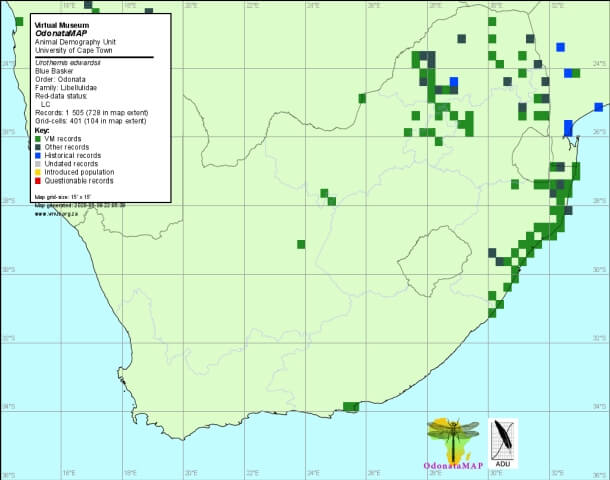 Urothemis edwardsii Blue Basker Distribution Map May 2020 Urothemis edwardsii Blue Basker Map 05 2020