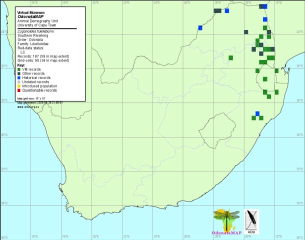 Distribution Map Zygonoides fuelleborni Southern Riverking Distribution Map June 2020