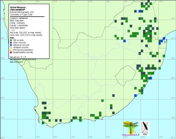 Zygonyx natalensis Blue Cascader Map 05 2020 Zygonyx natalensis Blue Cascader Map 05 2020