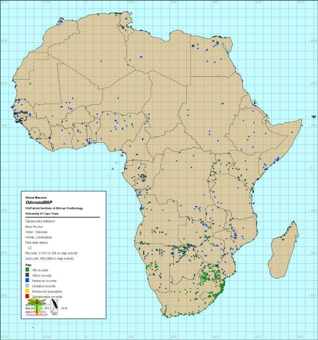 Diplacodes lefebvrii Black Percher Distribution Map Mch 2021 Diplacodes lefebvrii Black Percher Distribution Map Mch 2021