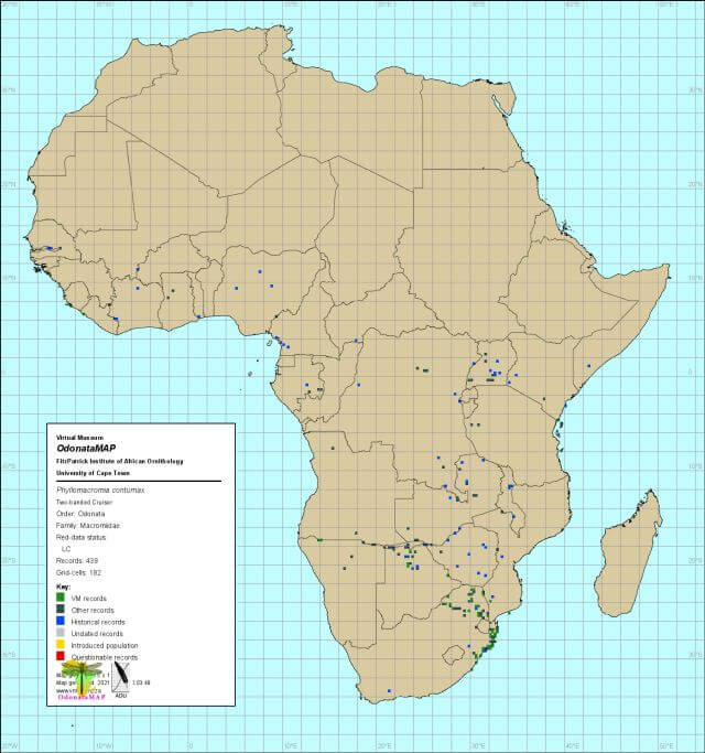 Phyllomacromia contumax Two banded Cruiser Africa Distribution Map Mch 2021 Phyllomacromia contumax Two banded Cruiser Africa Distribution Map Mch 2021